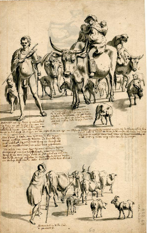Khoi Cattle, Sheep and Goats 1713.